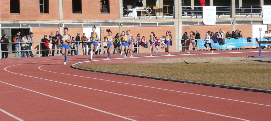 220112_cf_if.jpg